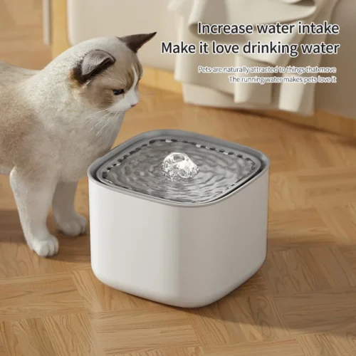 3L Cat Water Fountain Auto