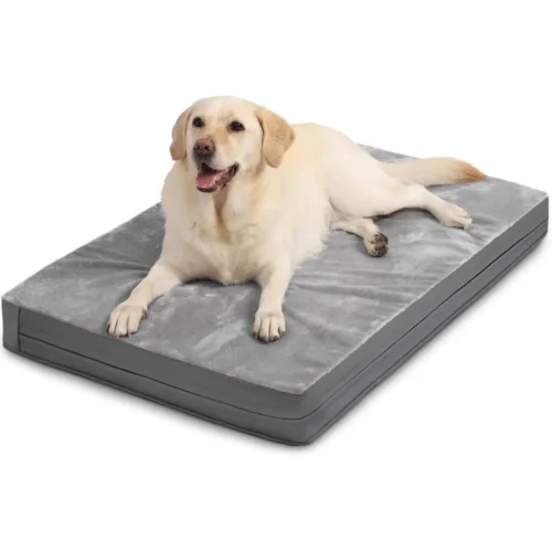 Waterproo Outdoor Dog Bed