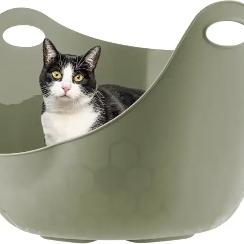 Cat litter box with high walls